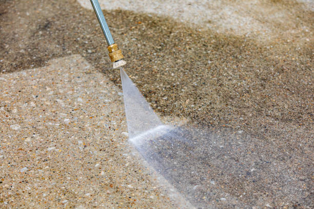 Animal Enclosure Cleaning in Laconia, NH